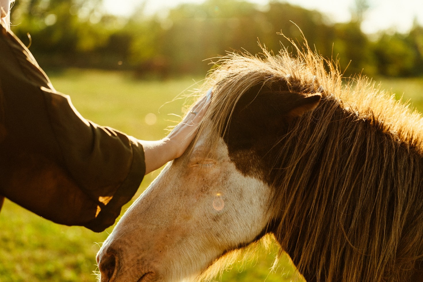 Il potere della co-regolazione uomo-cavallo