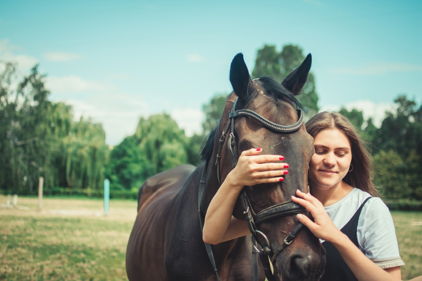 Mindfulness ed etologia: un connubio vincente
